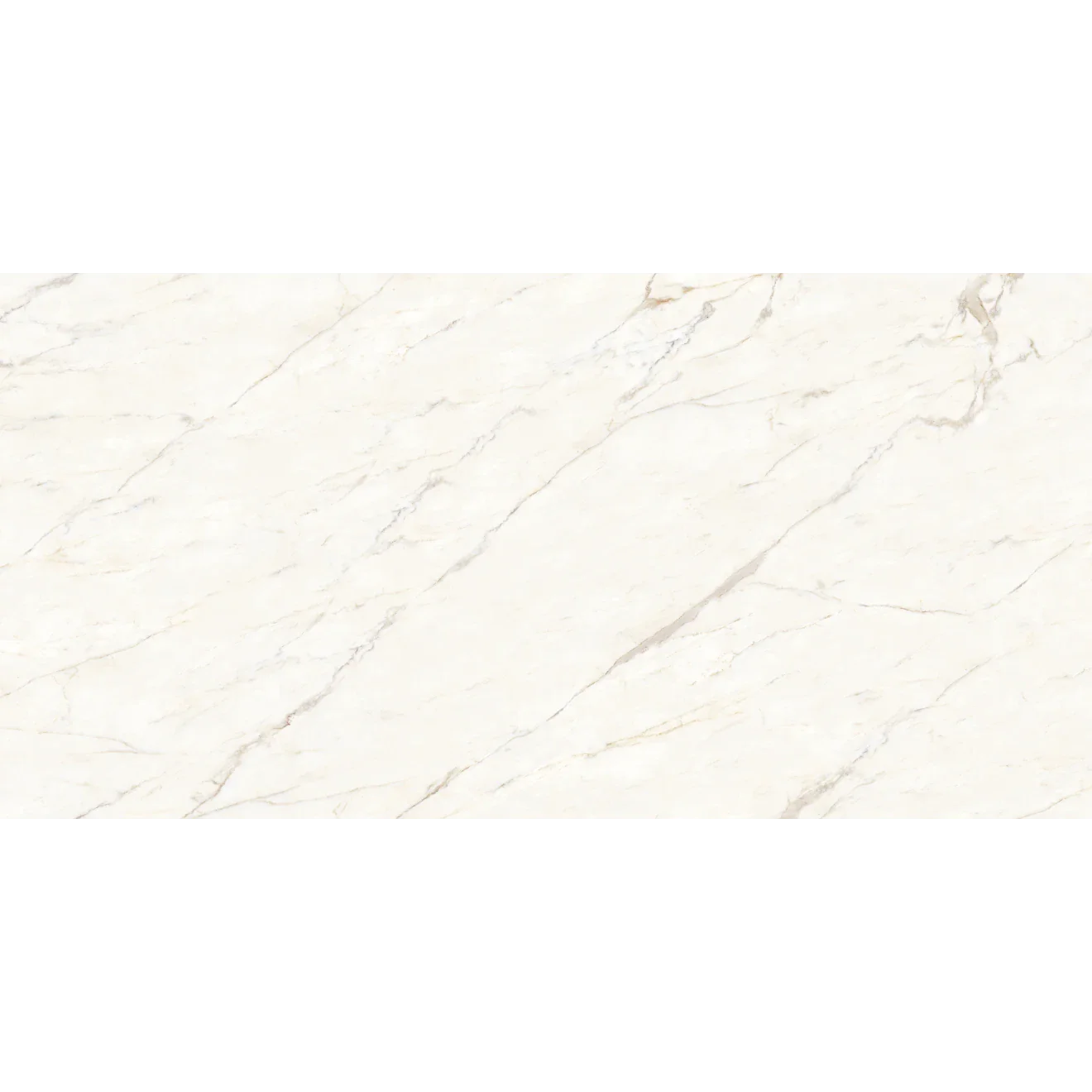 Calacatta Gold Porcelain Slab 60" x 126" - 1/2" Thick