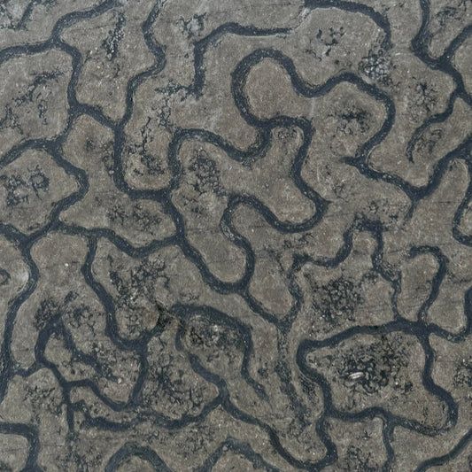 Black Passion Marble Slab Brushed & Leathered Stone